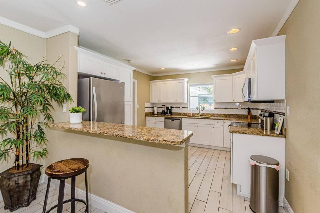 Villa Beautiful Pool House In Old Seminole Heights! à Tampa Extérieur photo